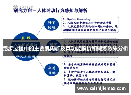 跑步过程中的主要肌肉群及其功能解析和锻炼效果分析